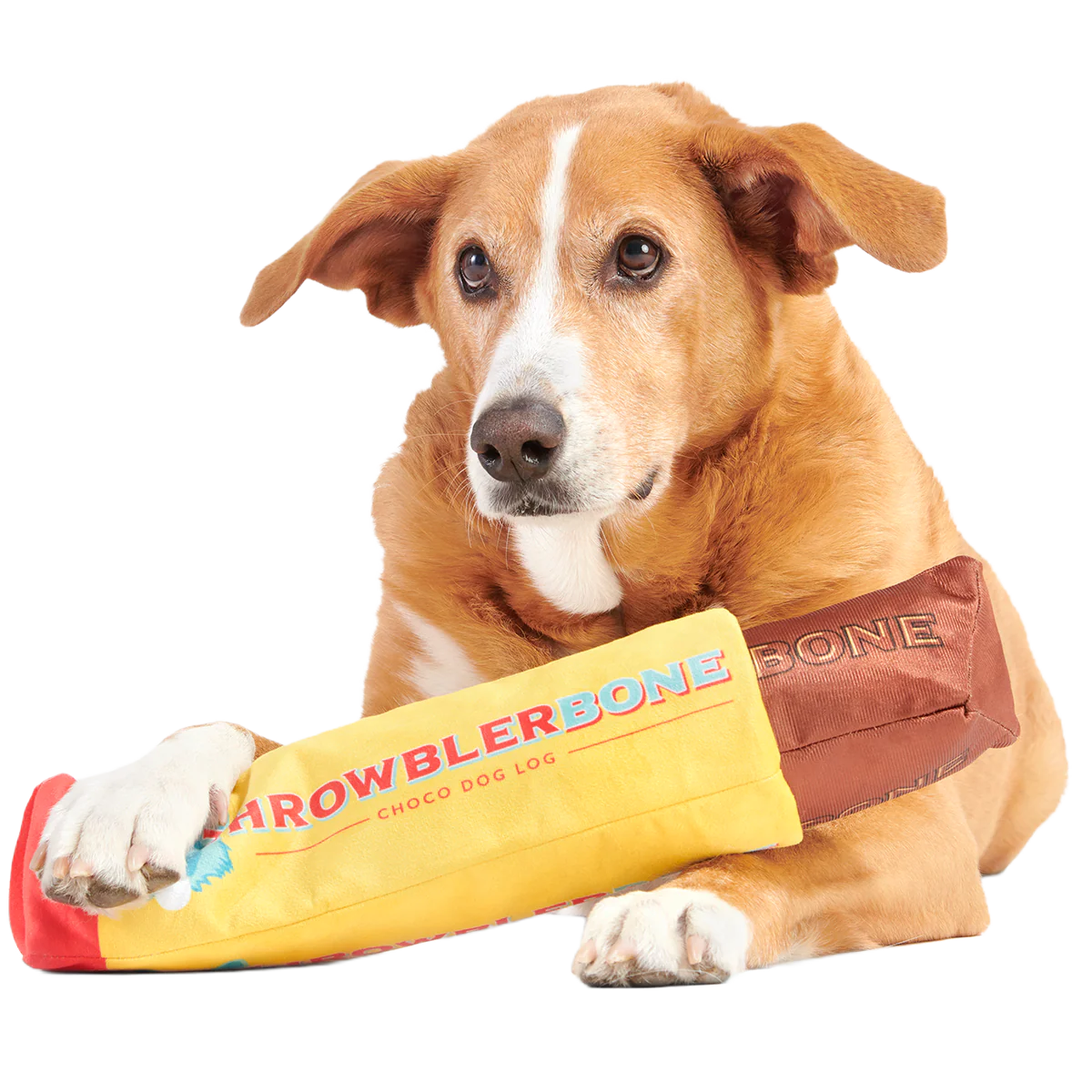 ThrowblerBone Plush Extra-Large Multi-Part + Enrichment Dog Toy