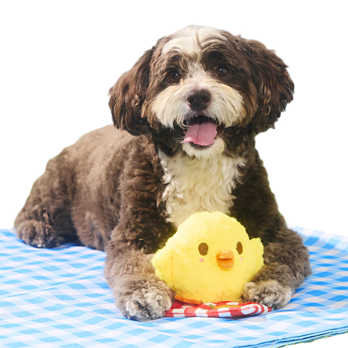 Chick-Nic Plush Tug Dog Toy