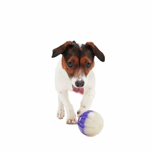 Nepzoom Durable Super Chewer Fetch Dog Toy