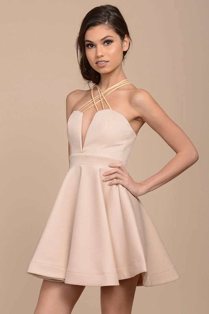 Karrin Fit and Flare Dress Nude