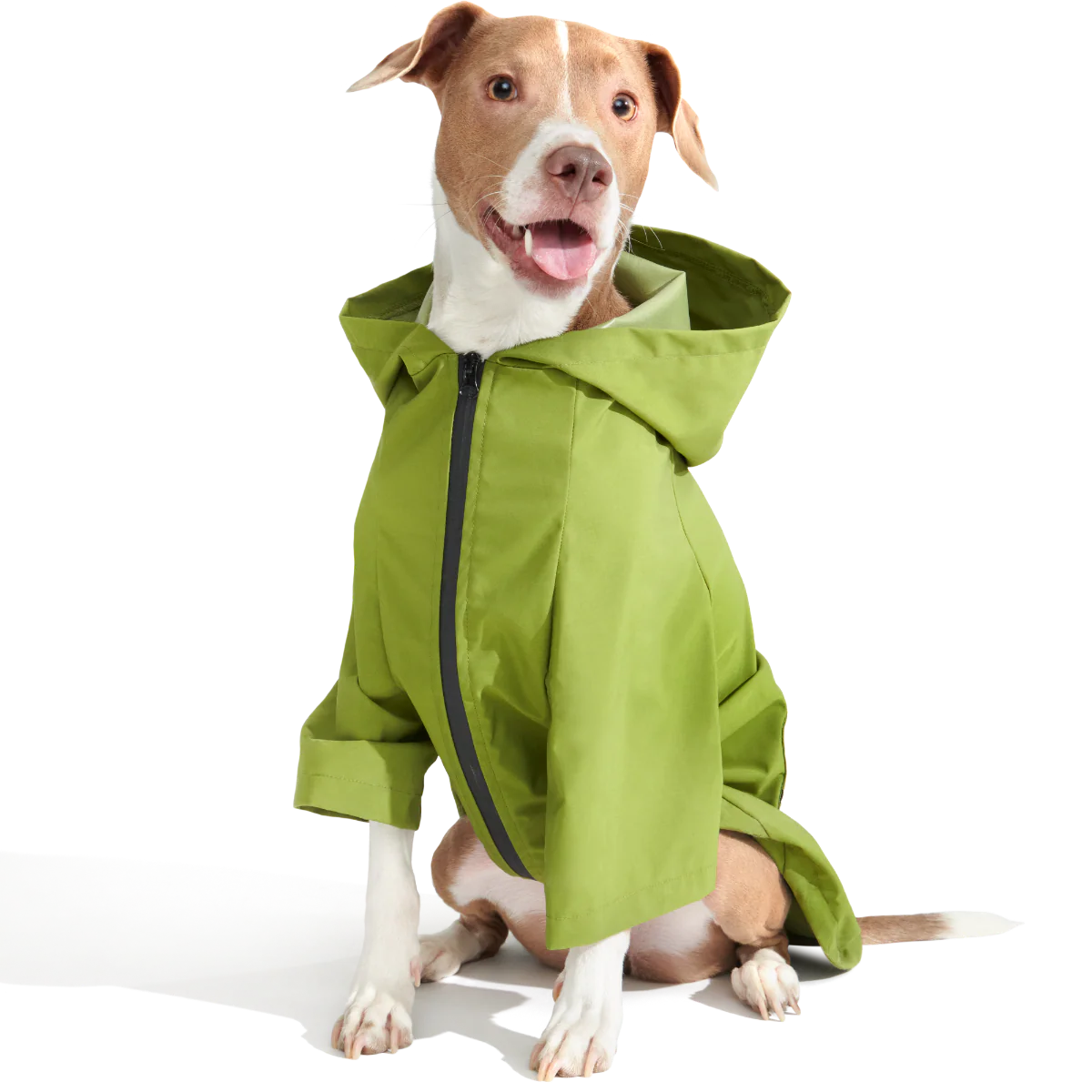 The Dry Dog Raincoat