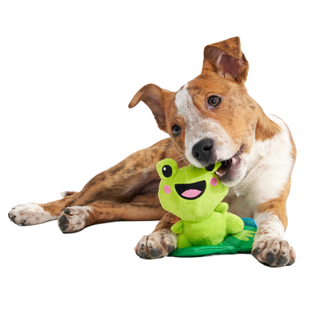Lily Pal Plush Tug Dog Toy