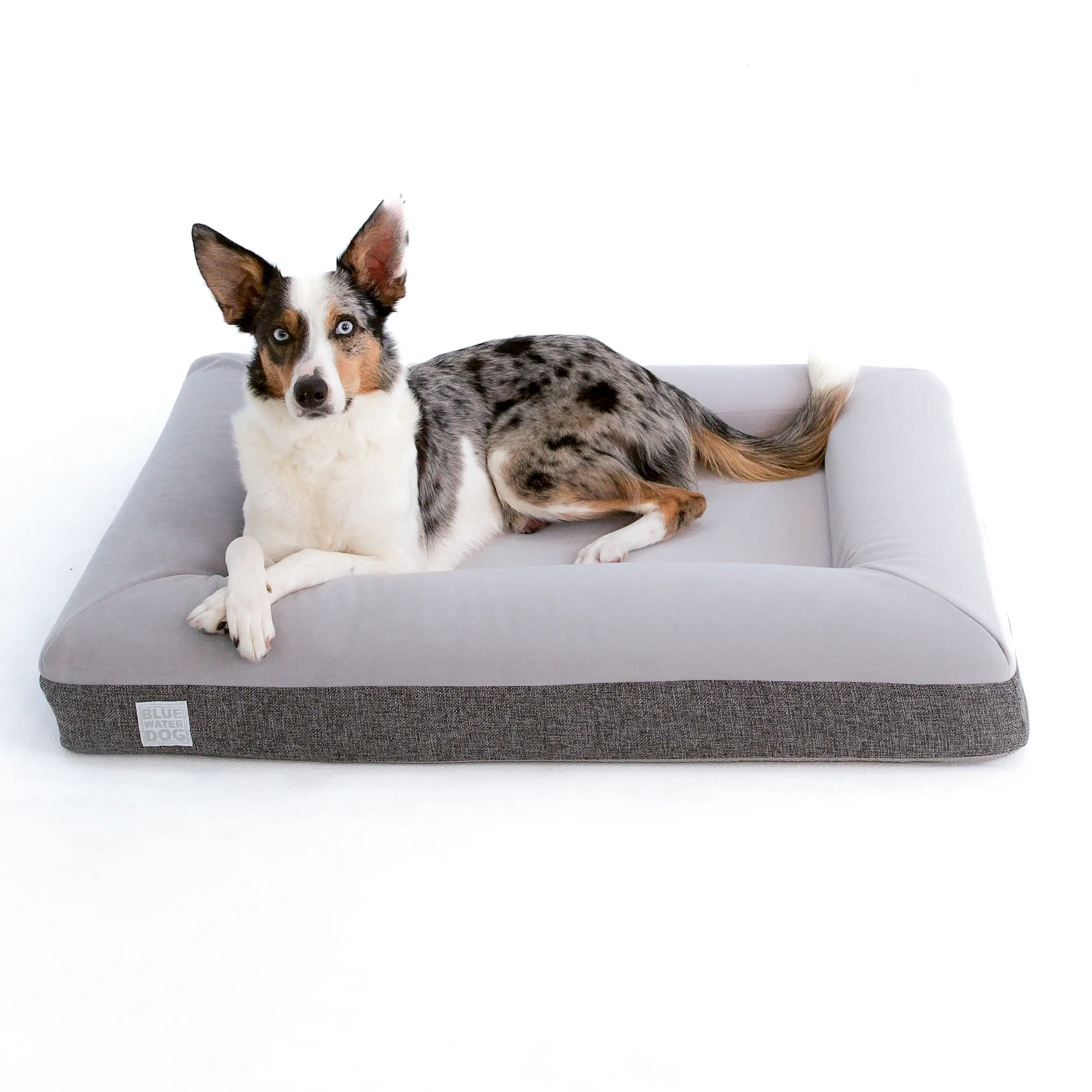 Medium Microfiber Orthopedic Dog Bed (Bolster, Essential / Gray)