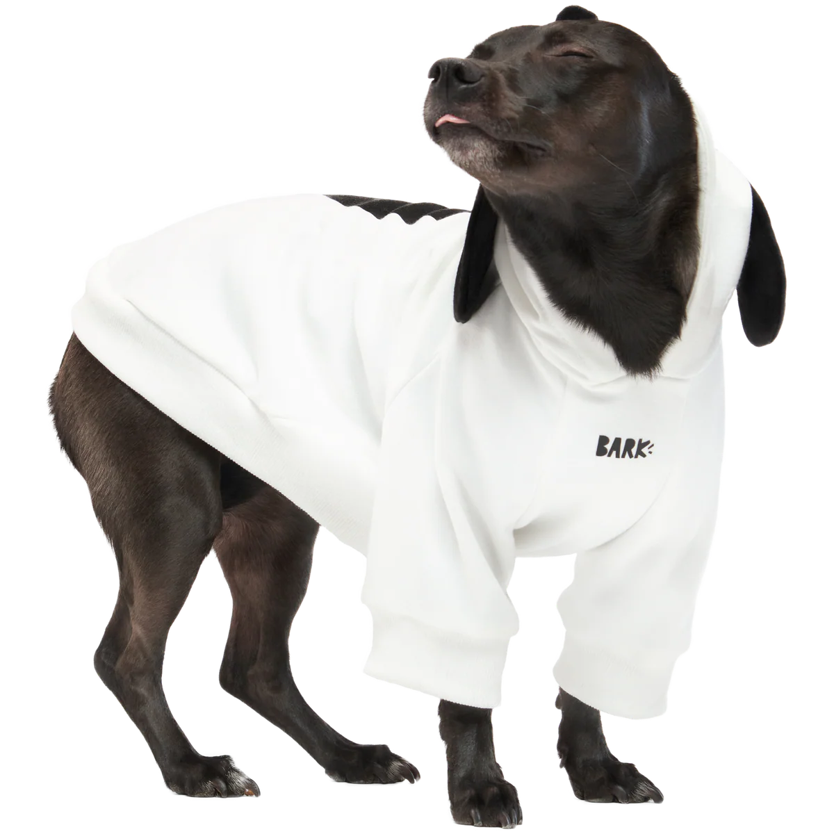 Snoopy Dog Hoodie