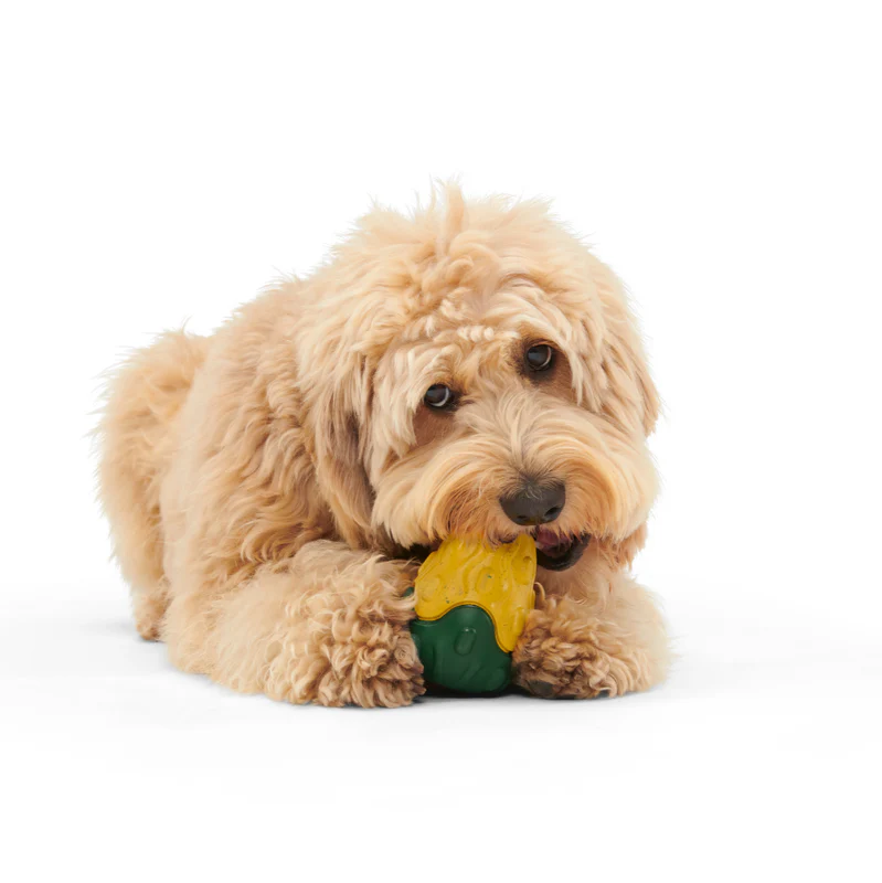 Good Gourd Gnaw Mighty Durable Super Chewer Dog Toy
