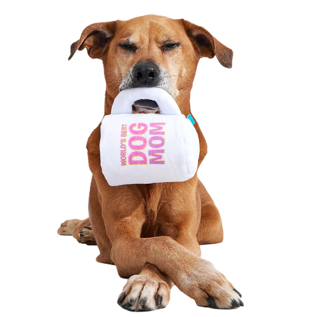 World's Best Dog Mom Mug Plush Tug Dog Toy
