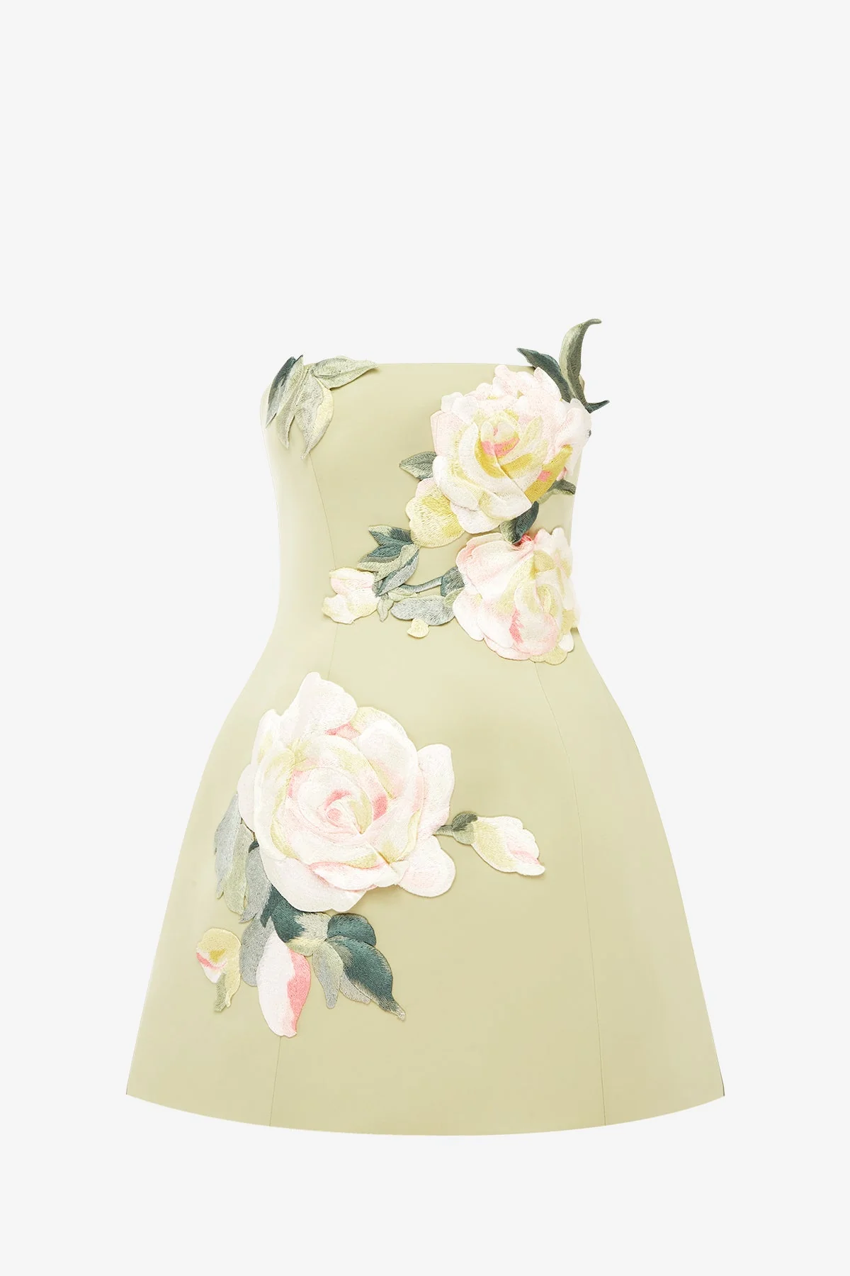 Roselle Embroidered Bustier Mini Dress - Pistachio Rose Print