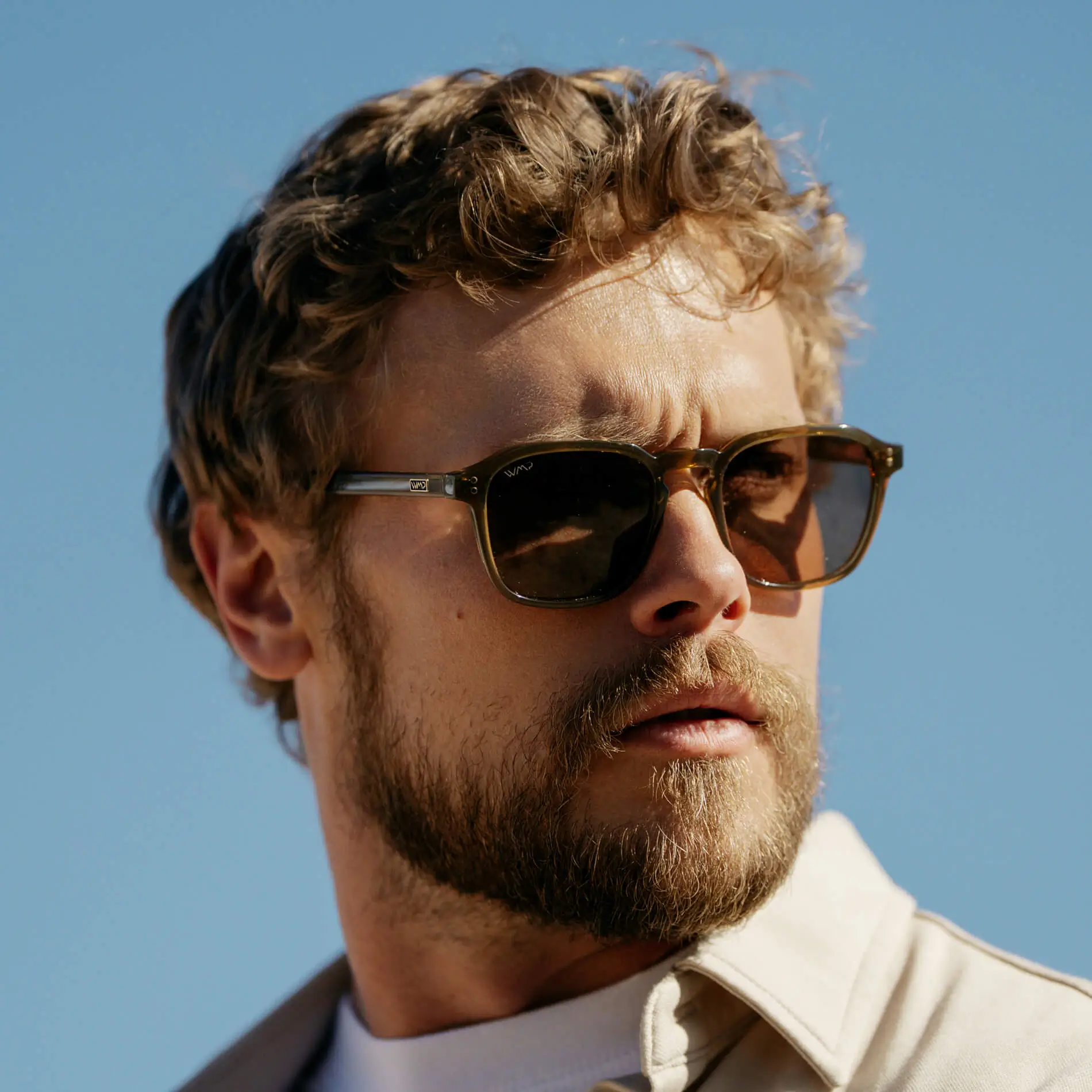 Francis | Polarized