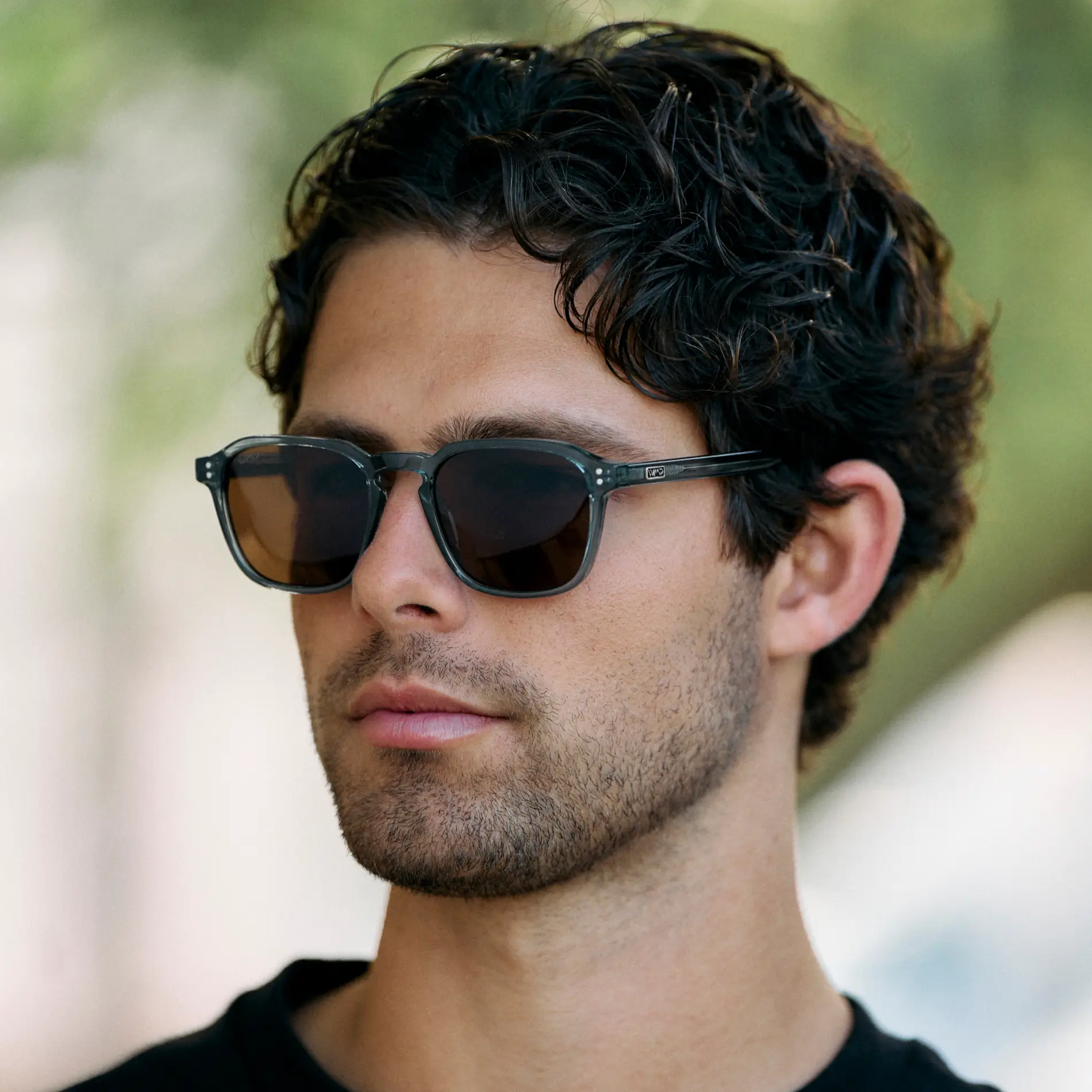 Francis | Polarized
