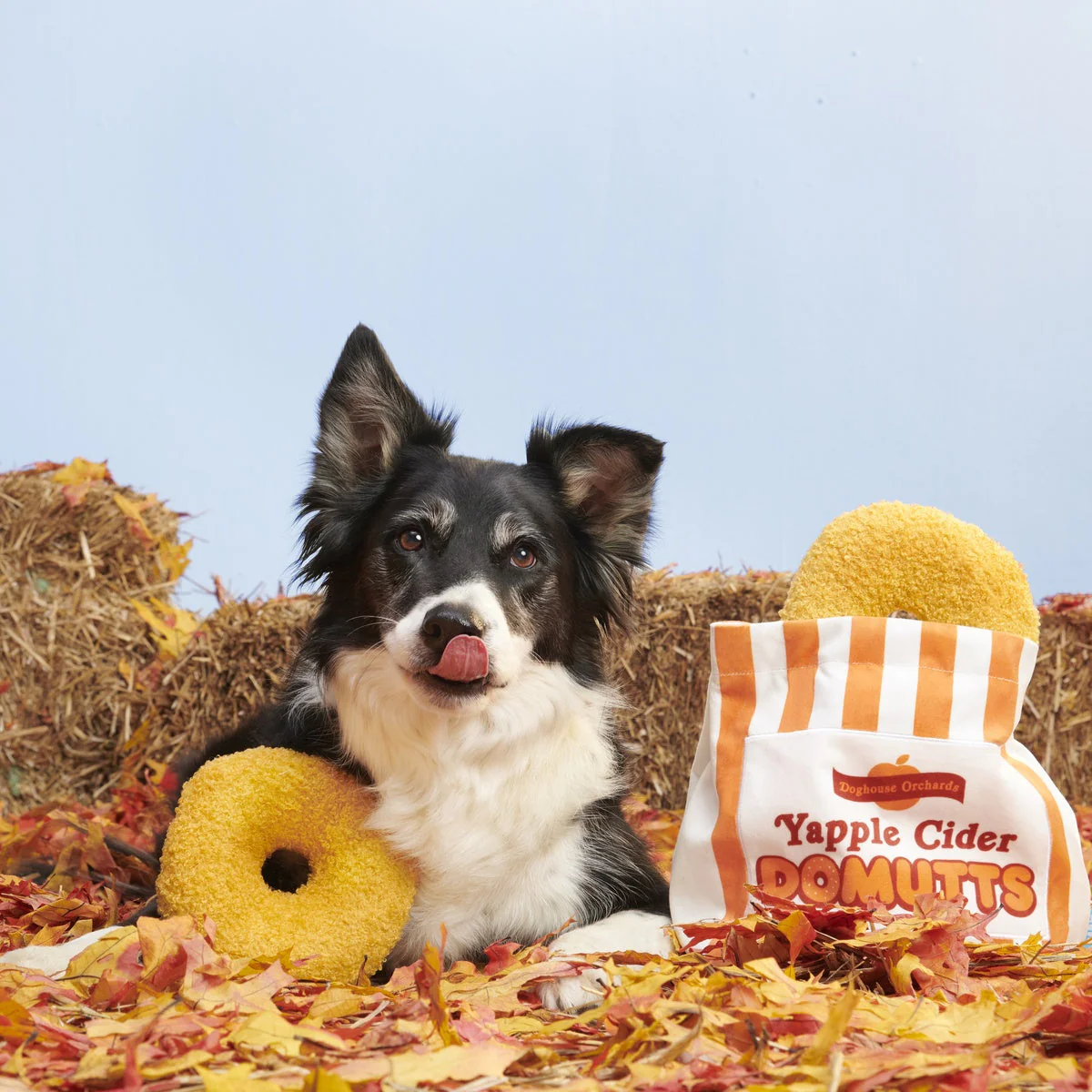 Yapple Cider Domutts Plush Extra-Large + Enrichment + Multi-Part Dog Toy