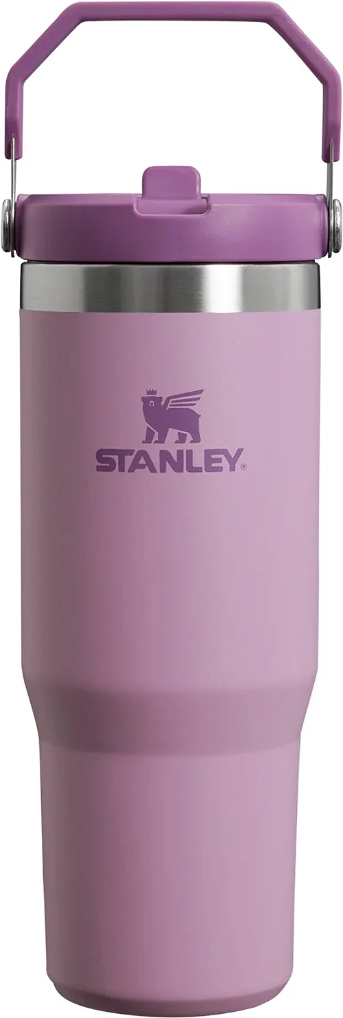 Stanley 30 oz. IceFlow 2.0 Flip Straw Tumbler - Lilac