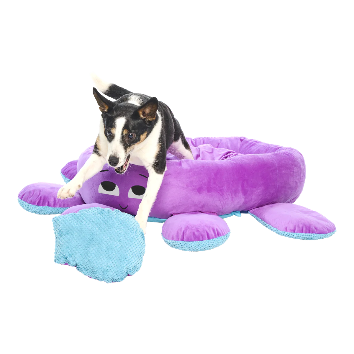 Ollie the Octopus Dog Bed