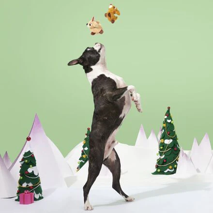 Rudolph® & Clarice™ Plush Multi-Part Dog Toy