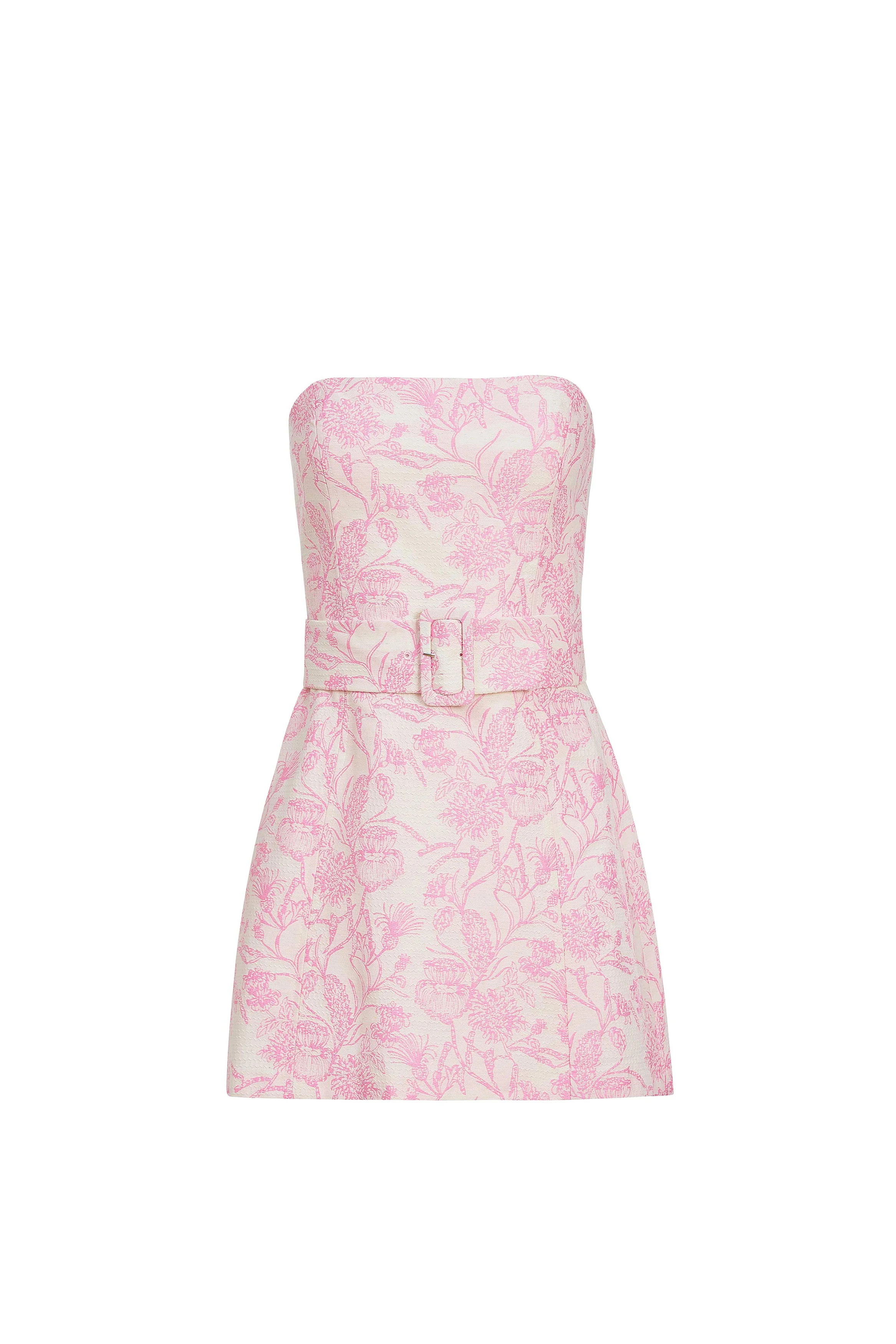 Fae Dress in Toile Brocade