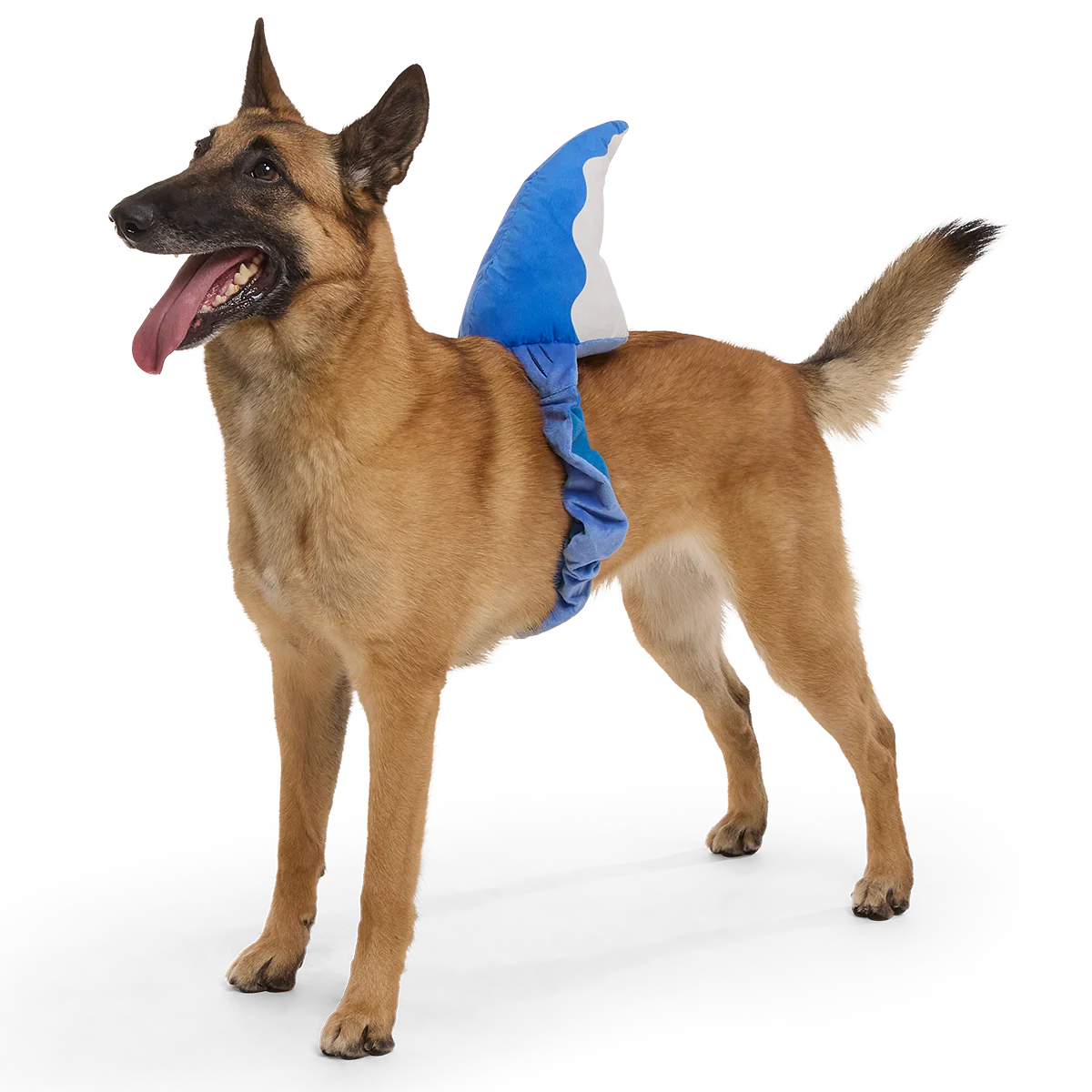 Bark Fin Plush Tug + Wearable Dog Toy