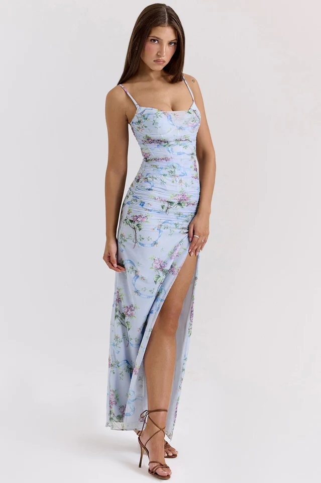 Blue Floral Print Mesh Maxi Dress