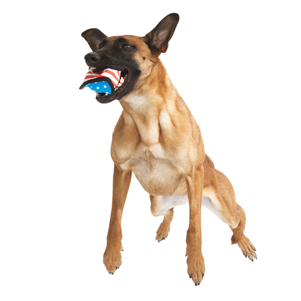 Flag Toofball Super Chewer Durable 2-In-1 + Fetch Dog Toy