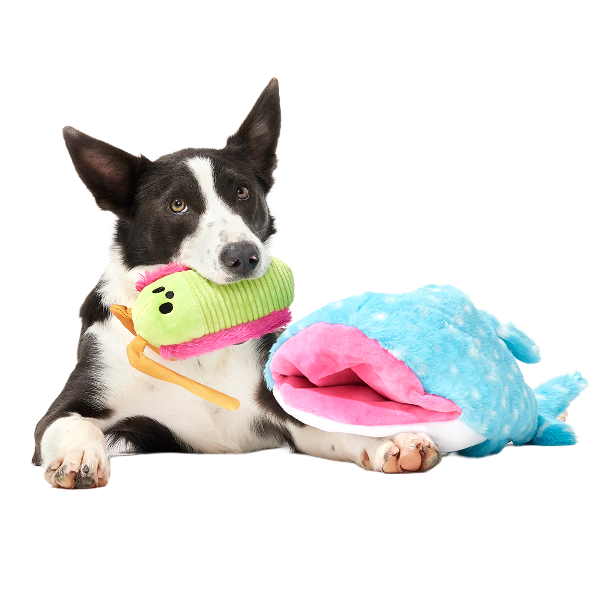 Big Mark The Whale Shark Plush Multi-Part + Extra Large Dog Toy