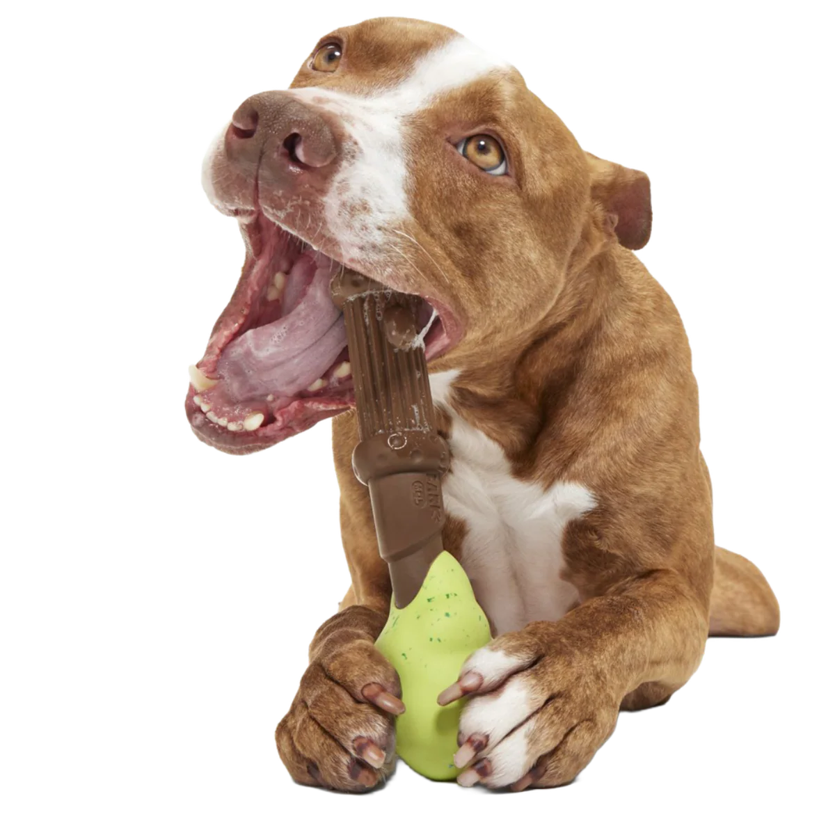 Harry's Bogey™ Wand Super Chewer Durable Gnaw Dog Toy