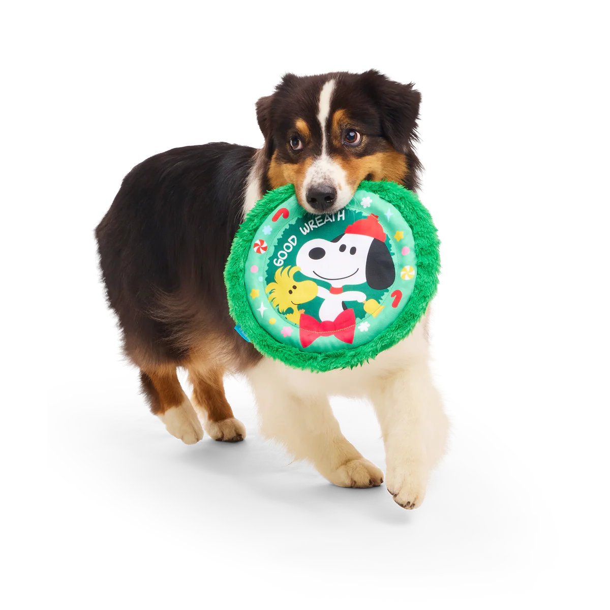 Disc The Halls Plush Fetch Dog Toy