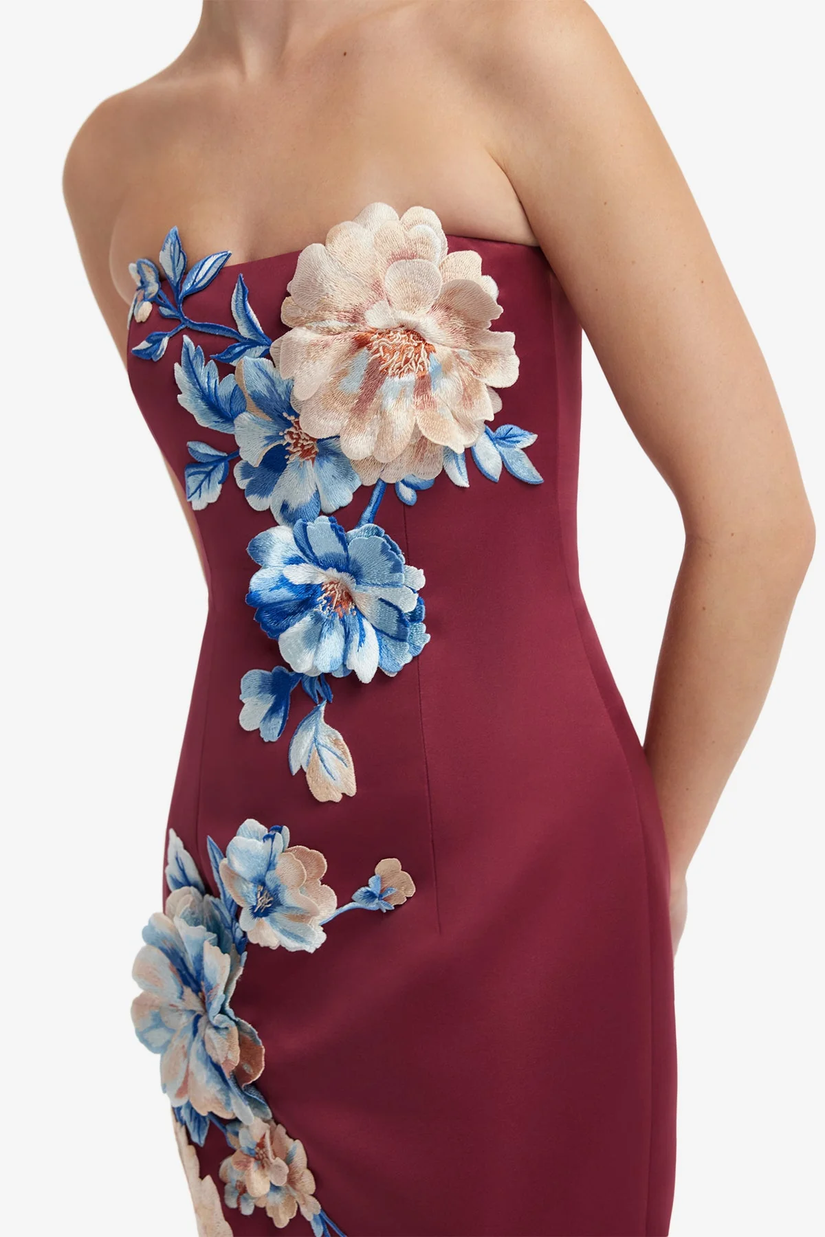 Rayna Embroidered Maxi Dress - Cosmos Print