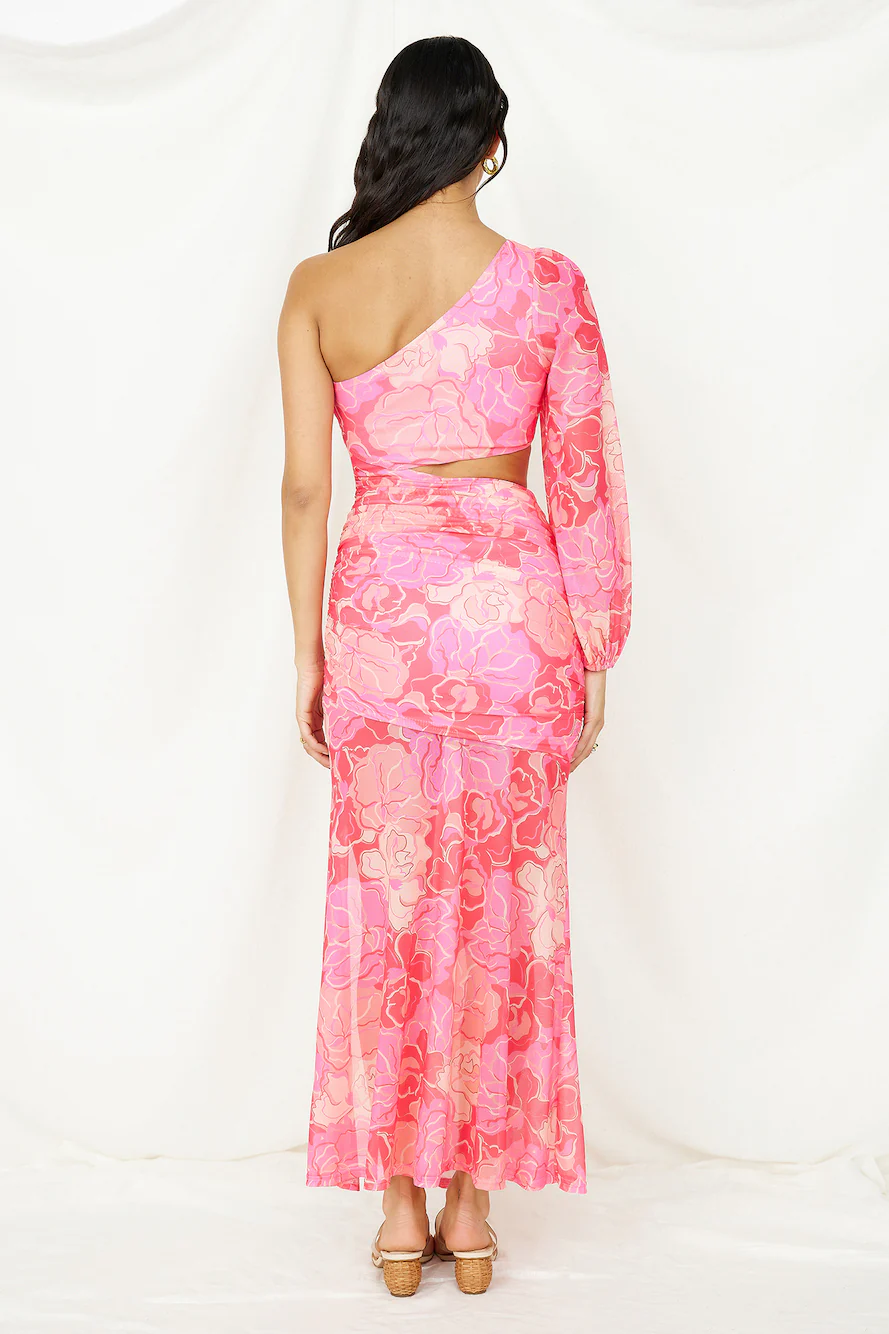 Over and Over Maxi Dress Pink Print
