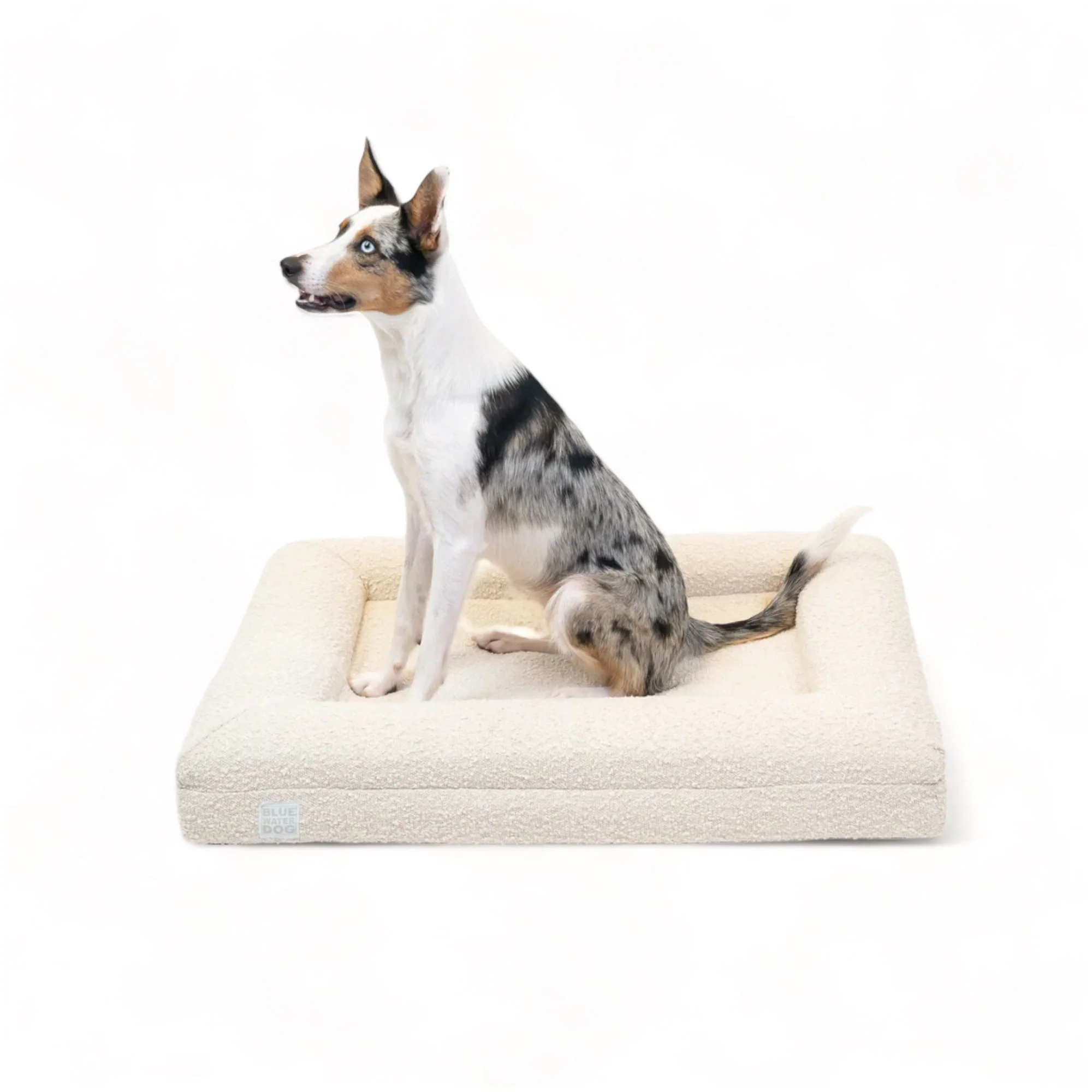 Medium Bouclé Orthopedic Dog Bed (Bolster, Cloud)