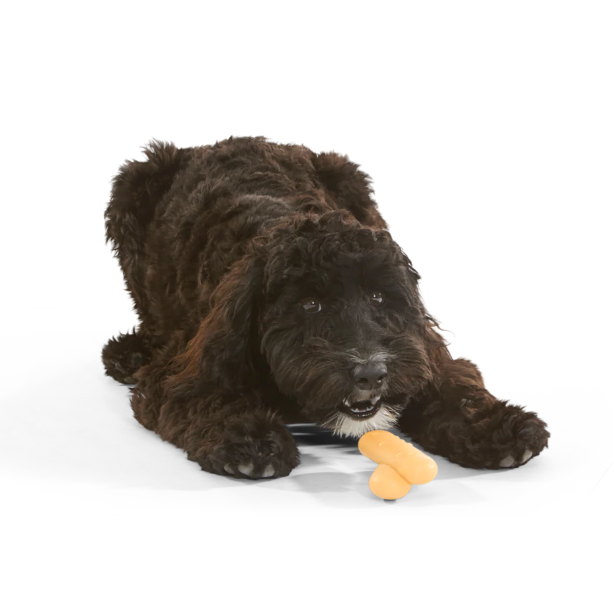 Lady Fingrrrs Durable Super Chewer Gnaw + Enrichment Dog Toy
