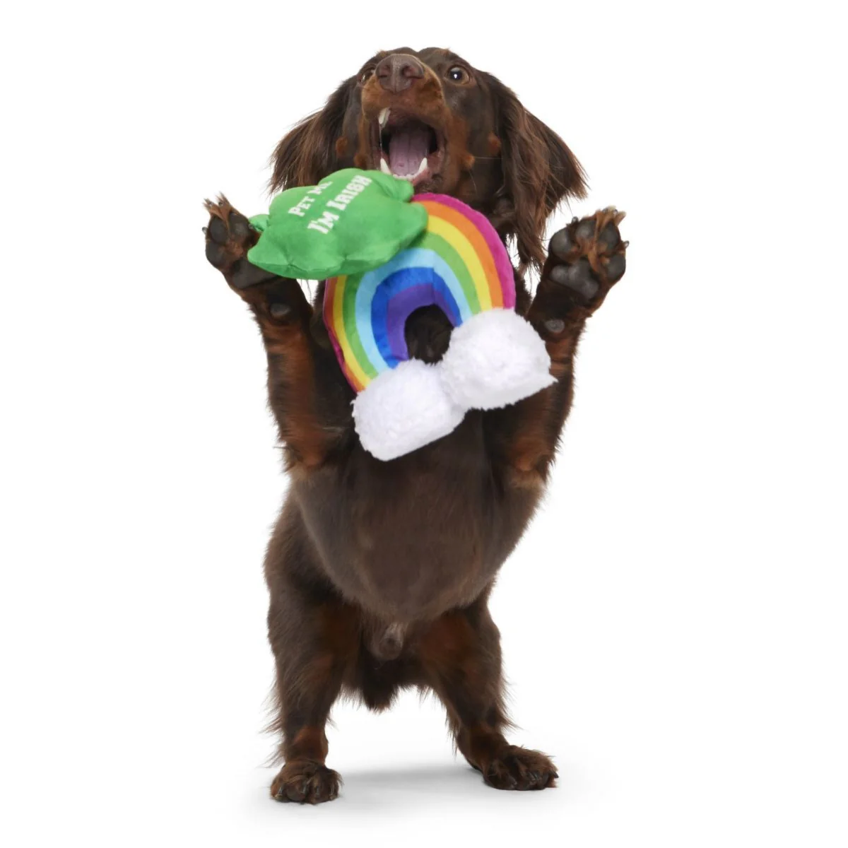 Puppy Charms Plush Multi-Part Dog Toy