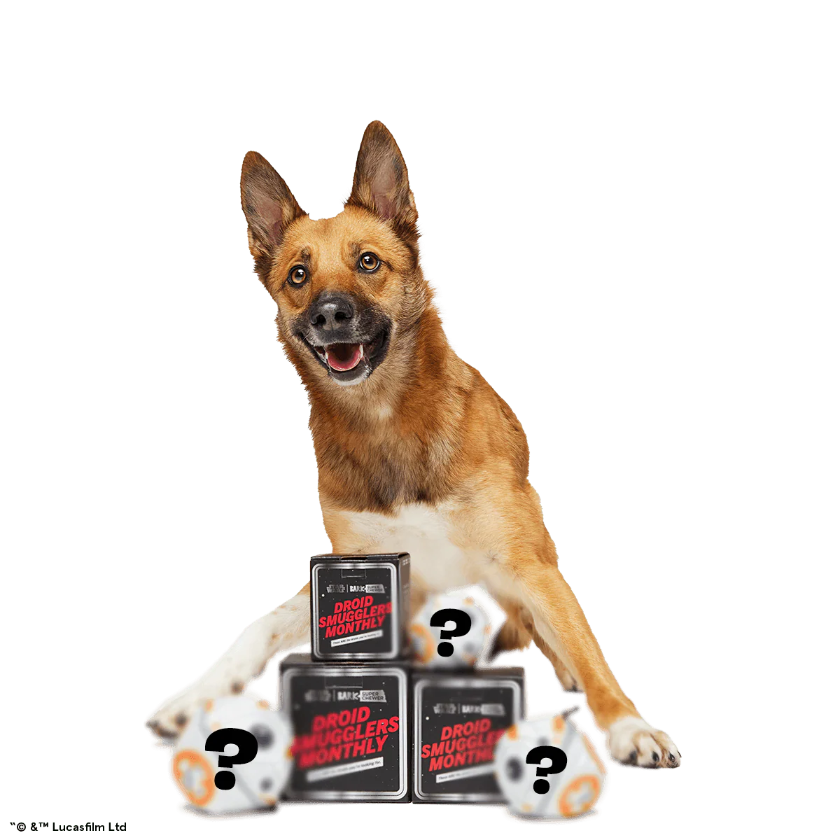 Star Wars™ Droid Smugglers Club, Super Chewer Durable Monthly Dog Toys
