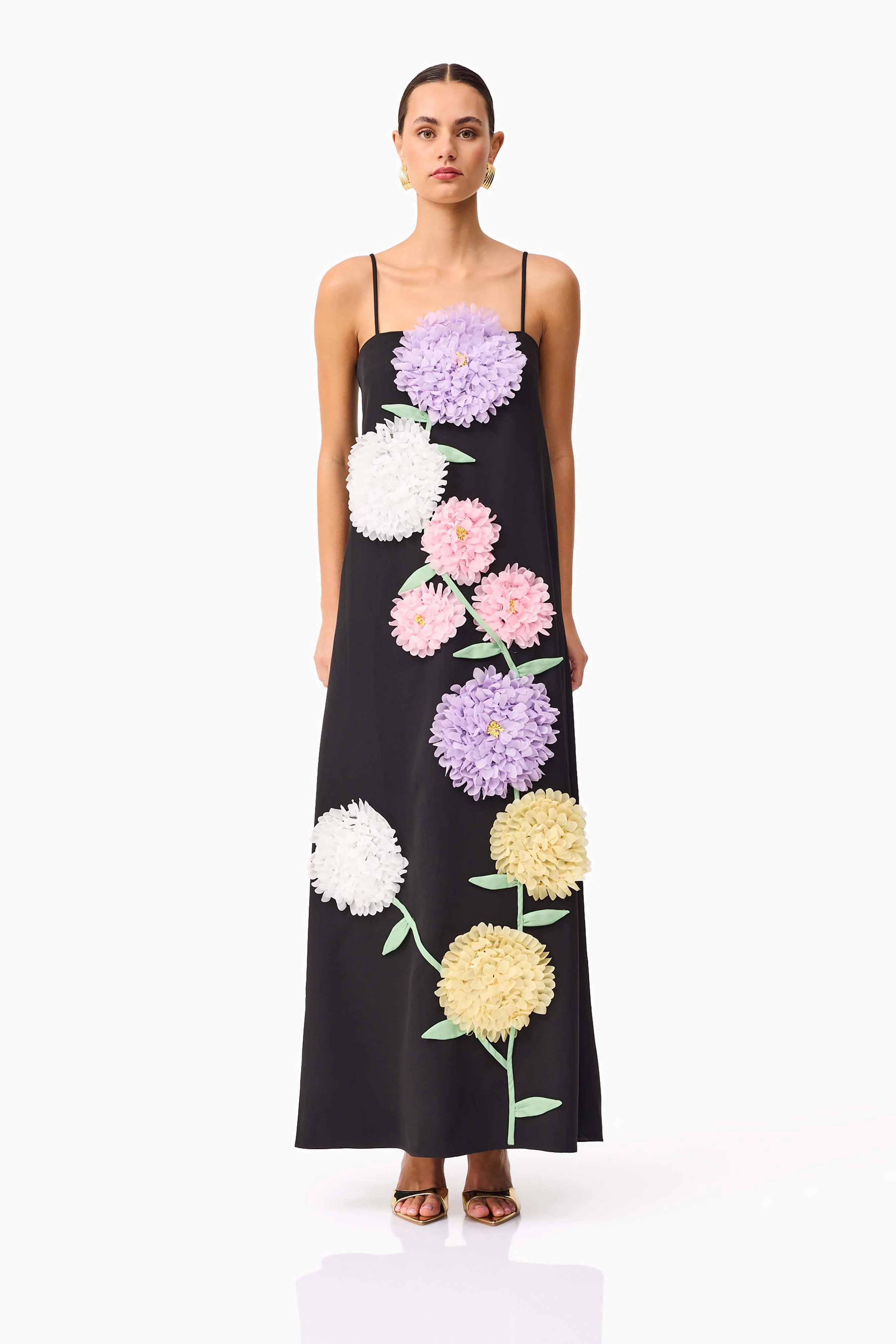 Buttercup Embroidered Maxi Dress in Black