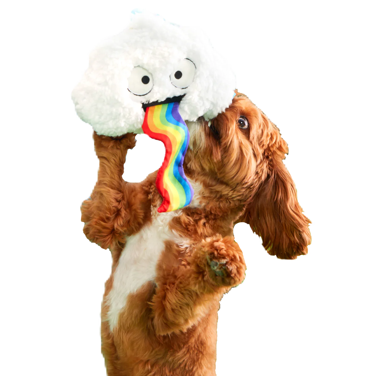 Loud and Proud Cloud Plush Tug Dog Toy
