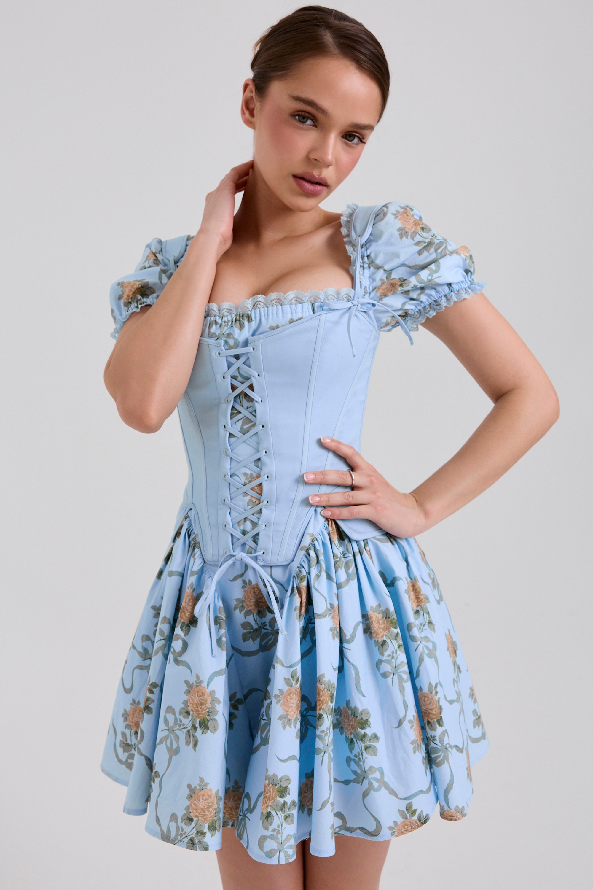 Blue Rose Print Cotton Mini Dress