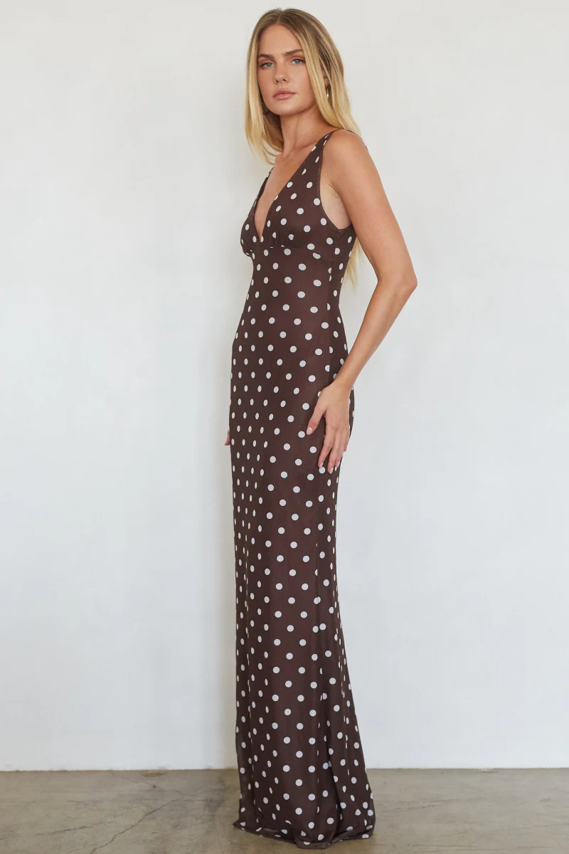 Lettie Mesh Maxi Dress - luluinthesky
