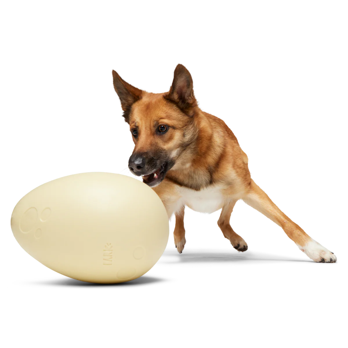 Dinosaur Egg Durable Super Chewer Extra-Large + Fetch Dog Toy