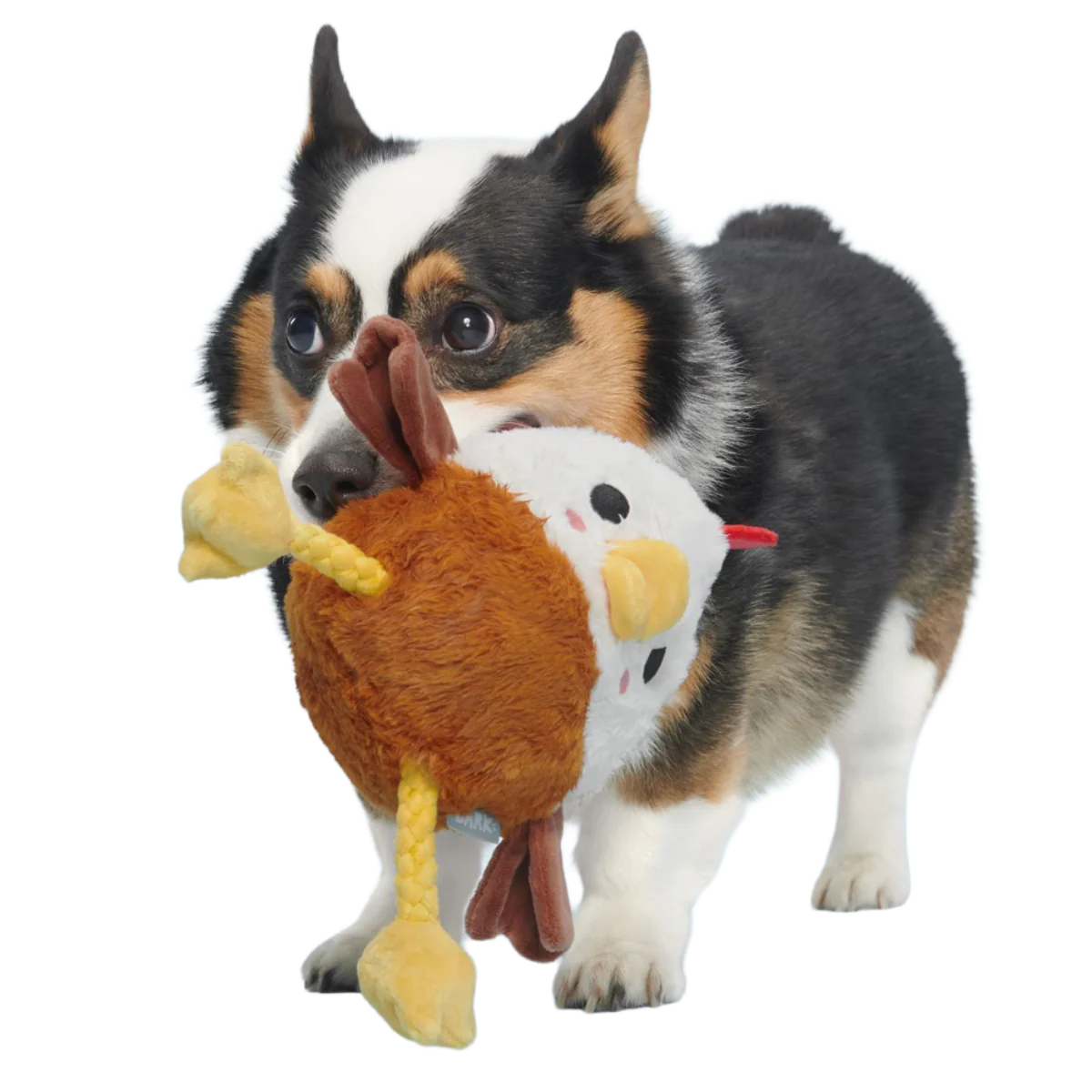 Cock-A-Doodle Dude Plush Tug + Fetch Dog Toy