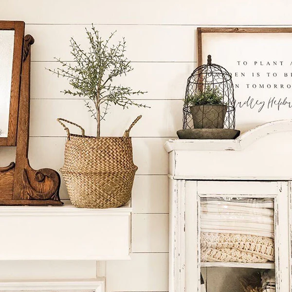 Chicken Wire Cloche with Terra Cotta Pot and Saucer