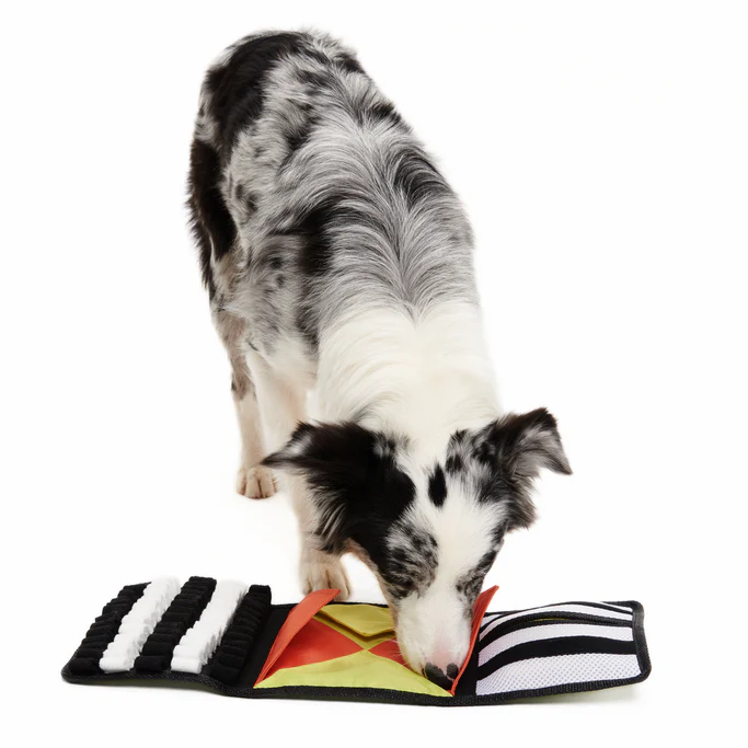 World Pup Rufferee Kit Plush Enrichment Dog Toy