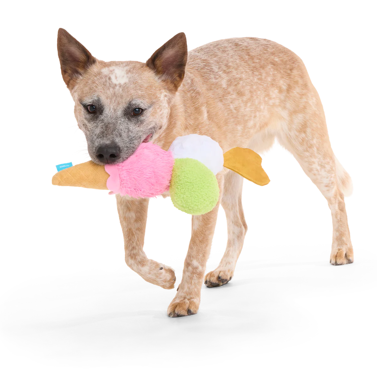 D'Oggo Gelato Plush Tug Dog Toy