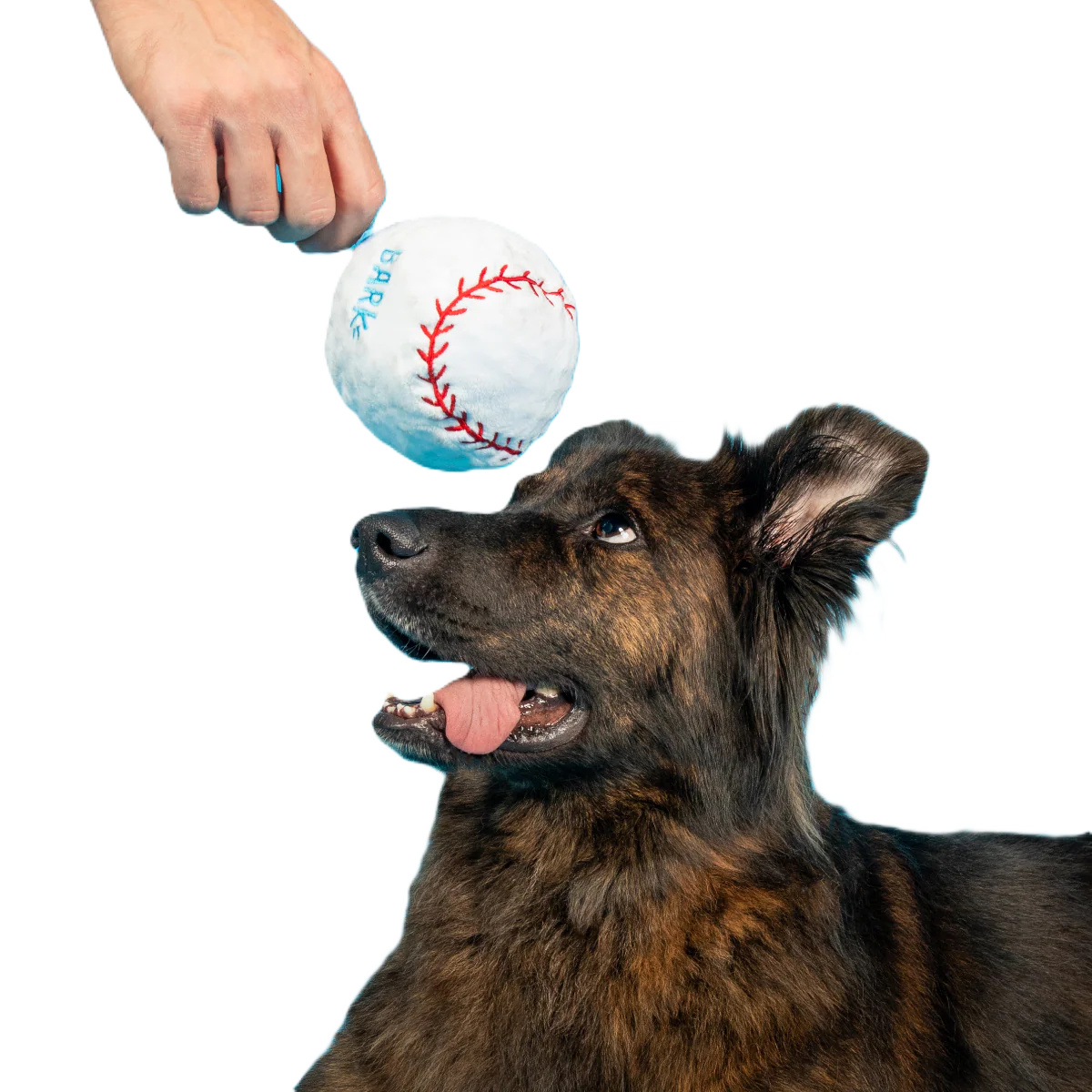 Major Lick Baseball Plush Fetch Dog Toy