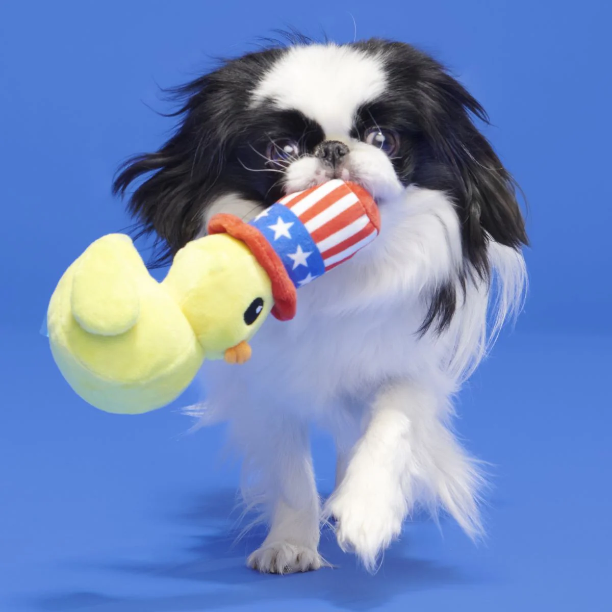 Uncle Duck Plush Tug Dog Toy