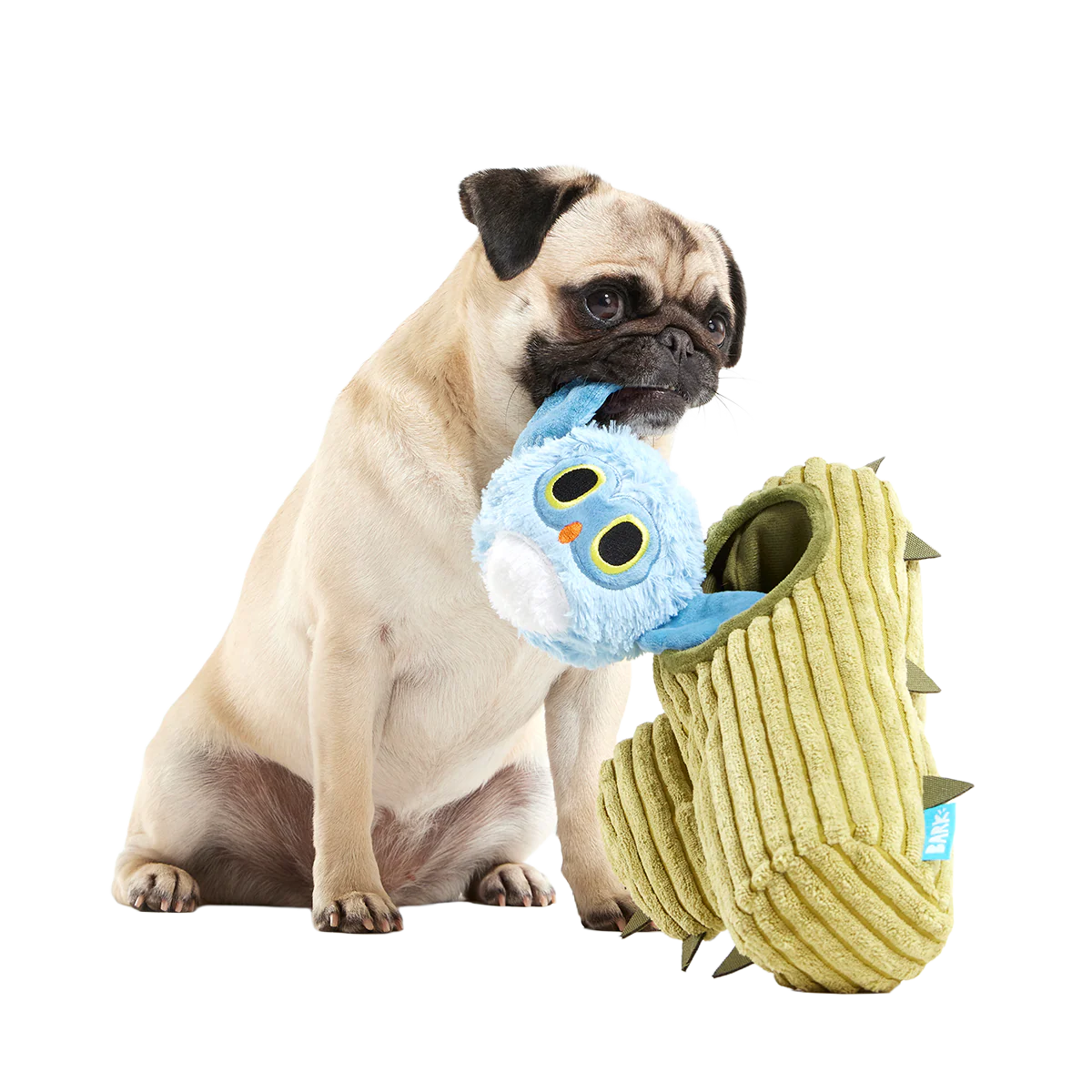 Saguaro Sammy Plush Multi-Part + Tug Dog Toy