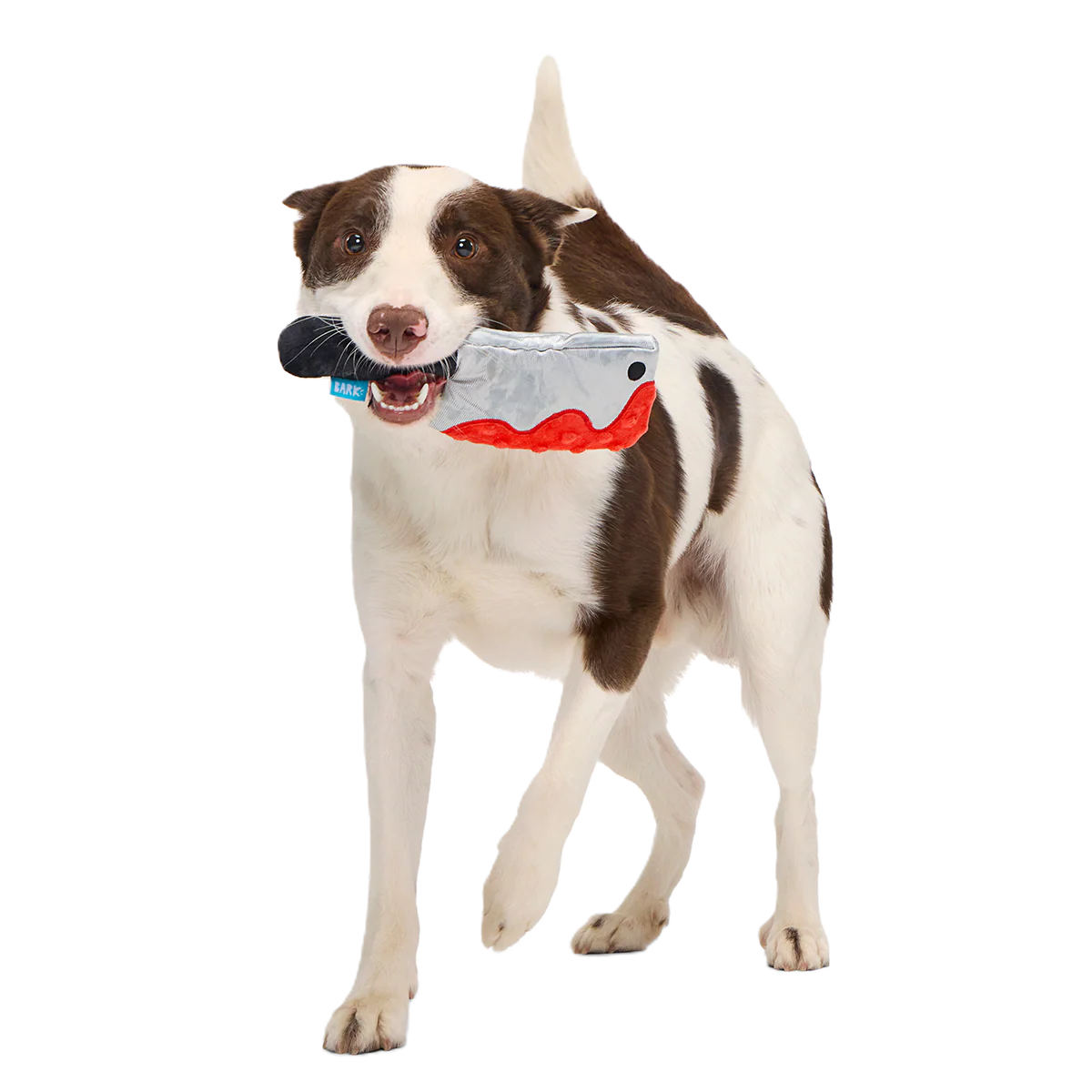 Squeakopath Knife Plush Tug Dog Toy