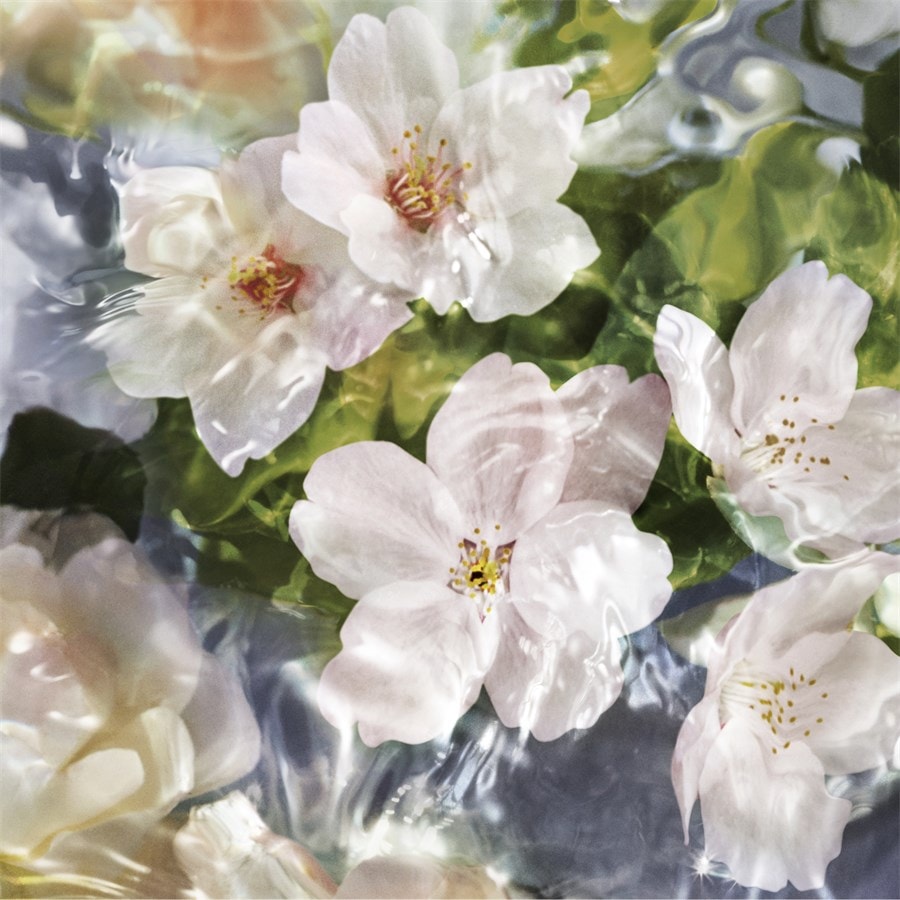 GUERLAIN Aqua Allegoria Eau de Toilette Spray Flora Cherrysia