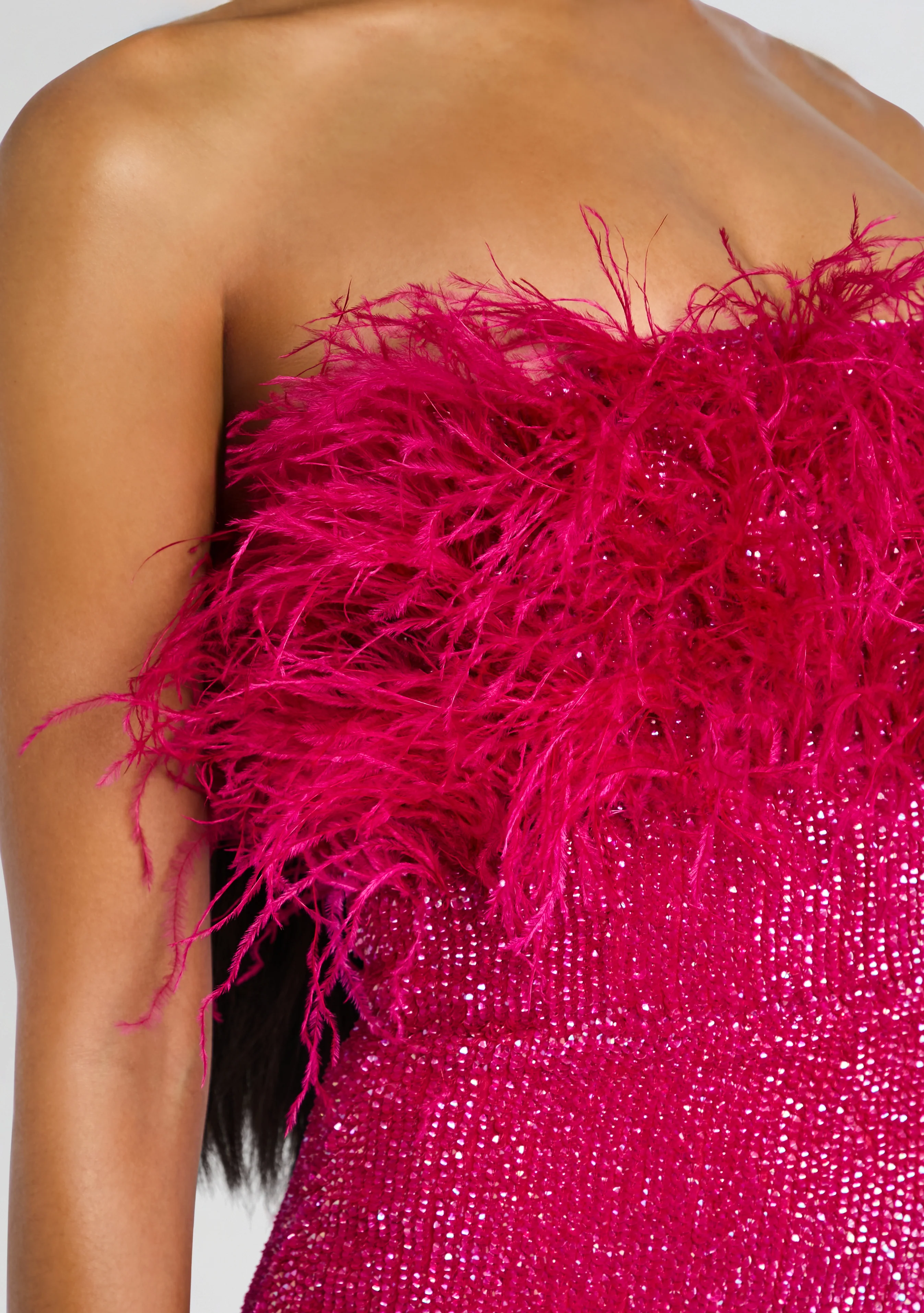 Torin Sequin Feather Dress