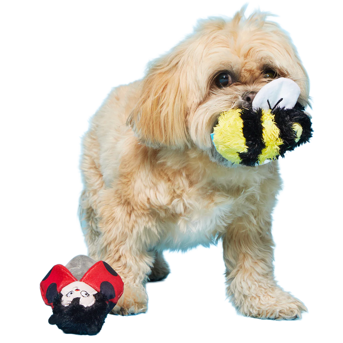 Simone & Jean-Paul The Love Bugs Plush Multi-Part + Fetch Dog Toy