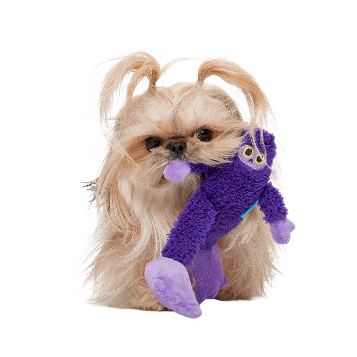 Buddy Bigfoot Plush Tug Dog Toy