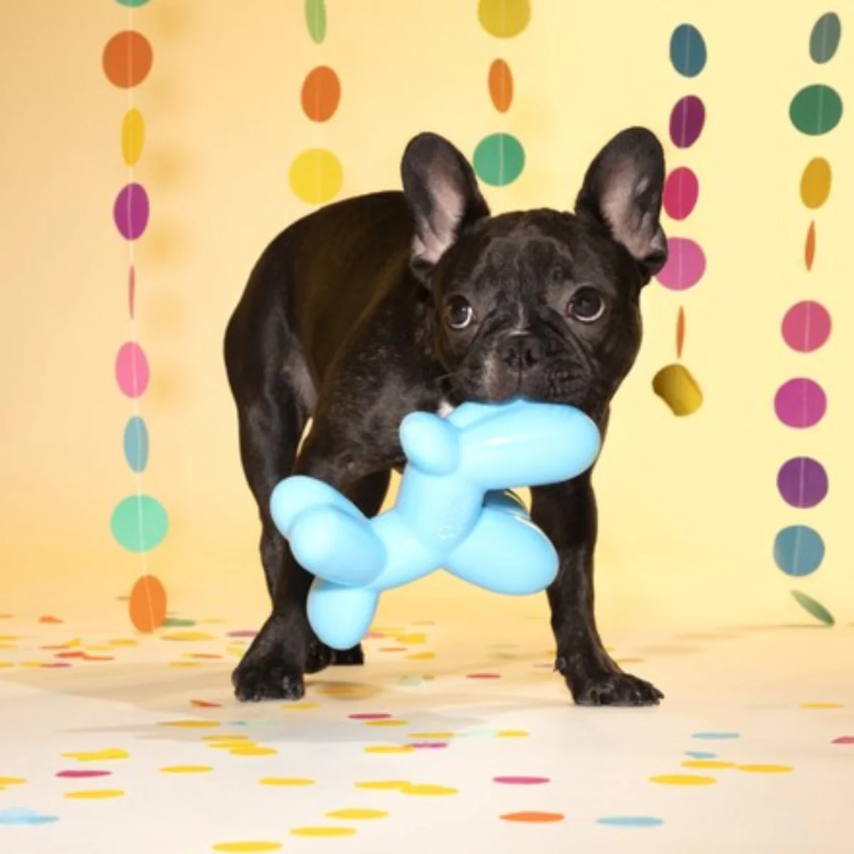 Bob The Balloon Durable Super Chewer Dog Toy