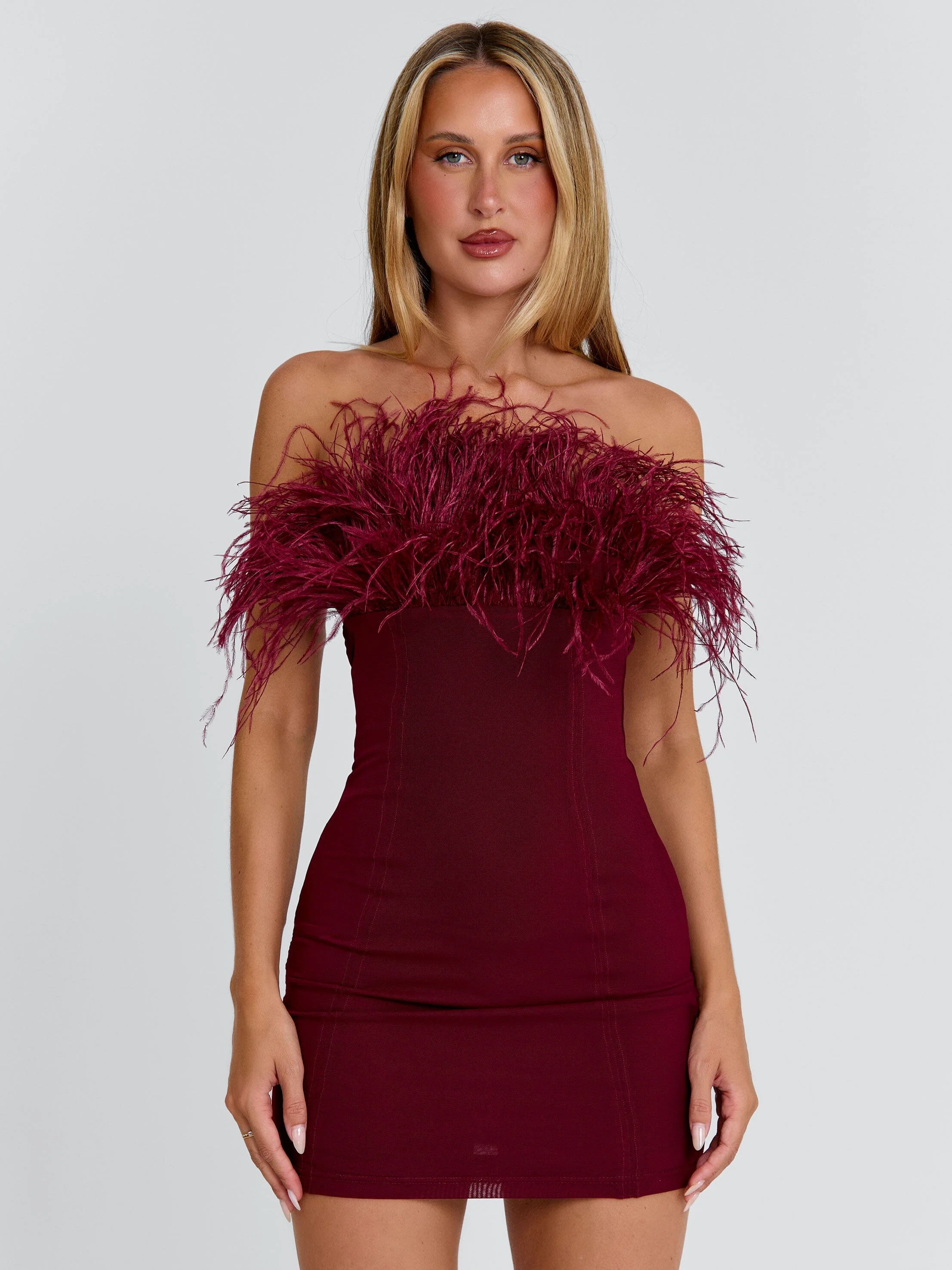 Shona Mini Dress Burgundy