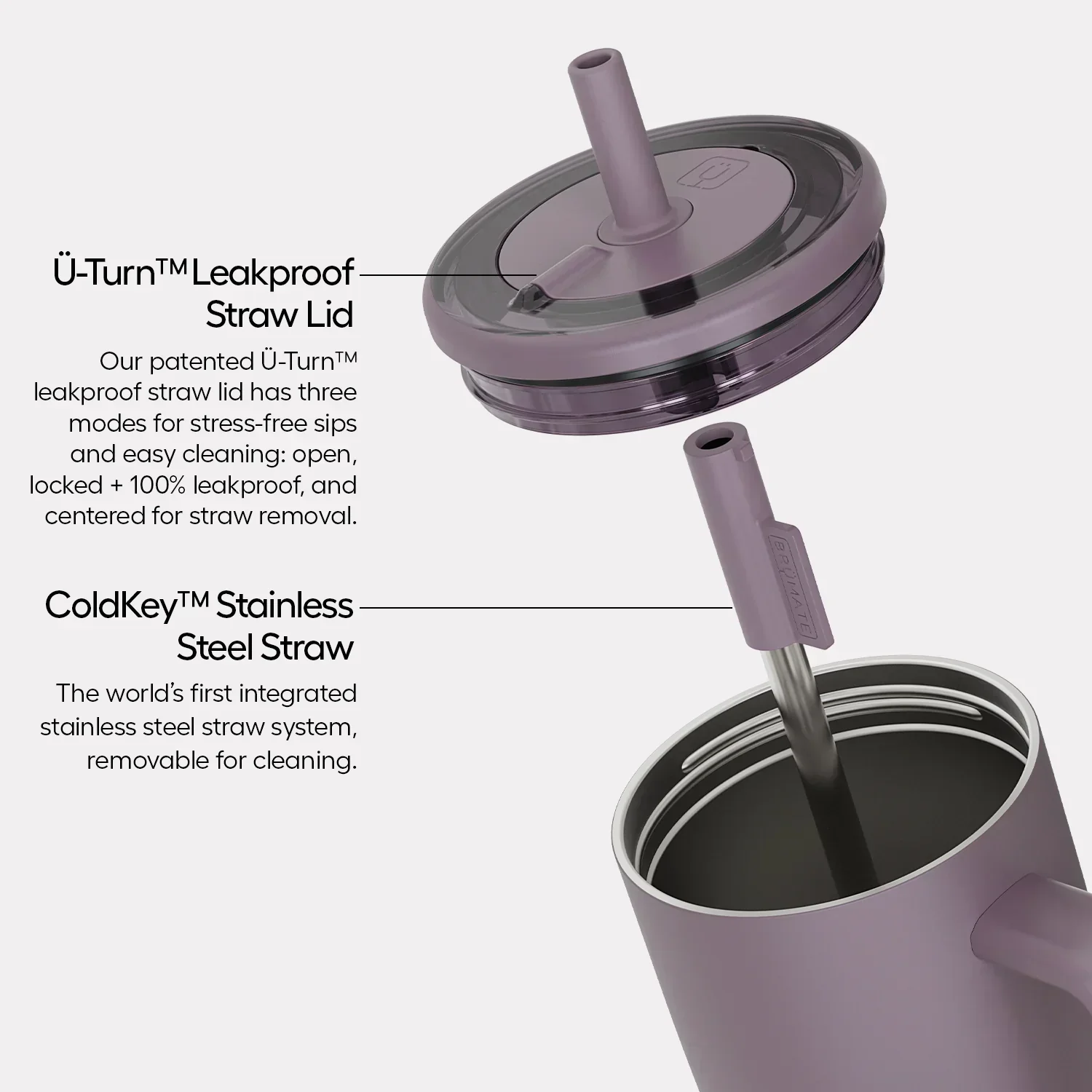 Brumate Era 40oz Bows